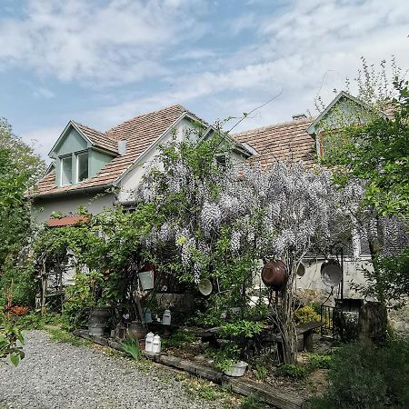 Forest View Studio Apartment Kaposhomok Luaran gambar