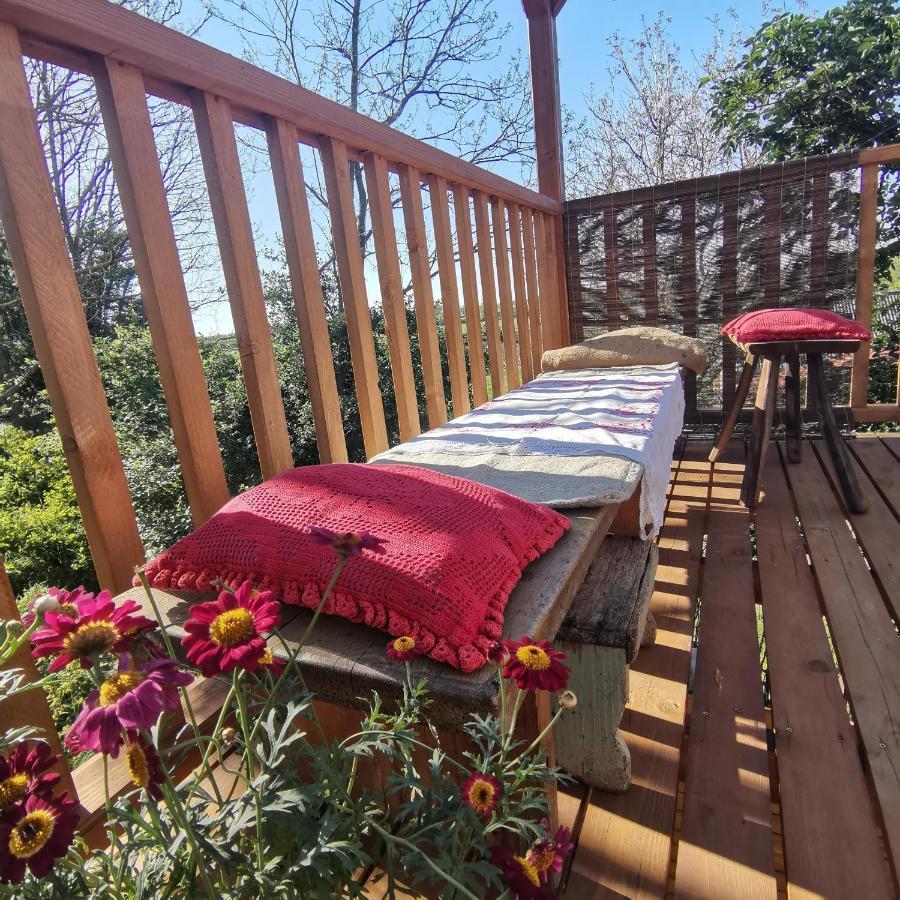 Forest View Studio Apartment Kaposhomok Luaran gambar
