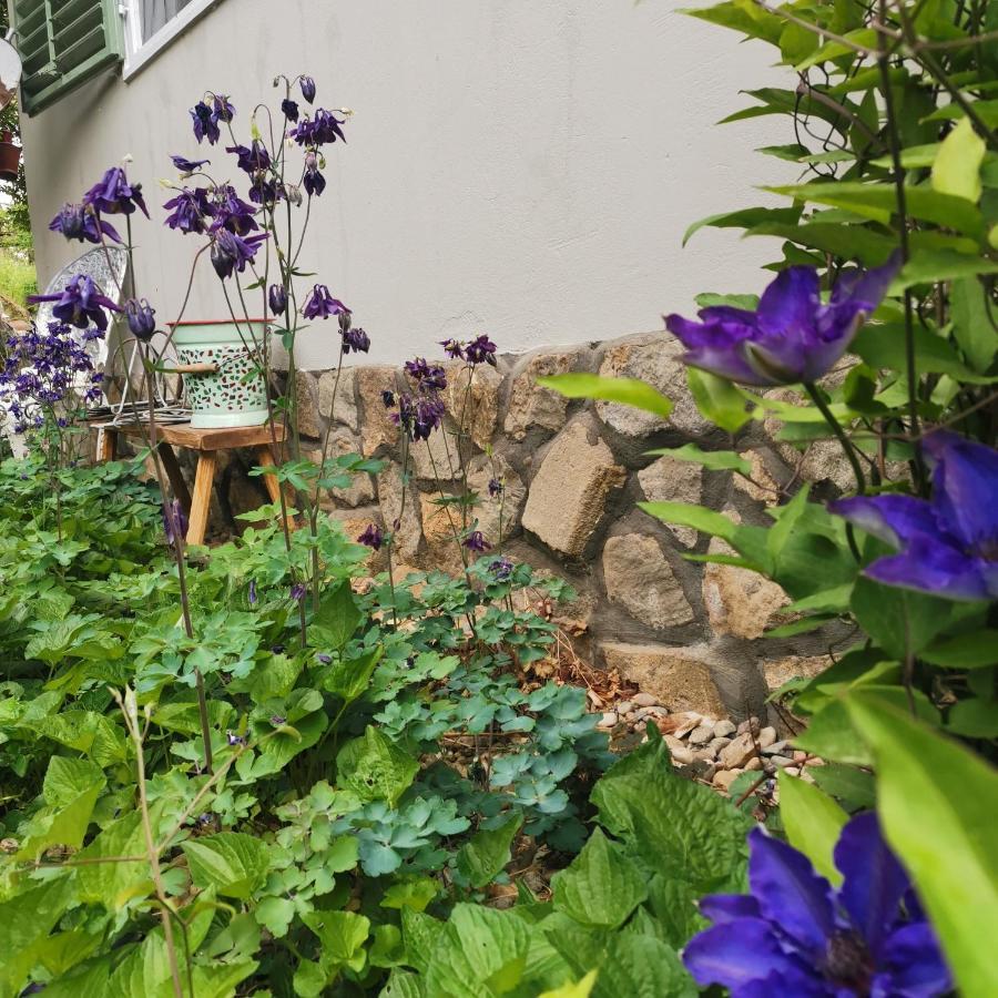 Forest View Studio Apartment Kaposhomok Luaran gambar