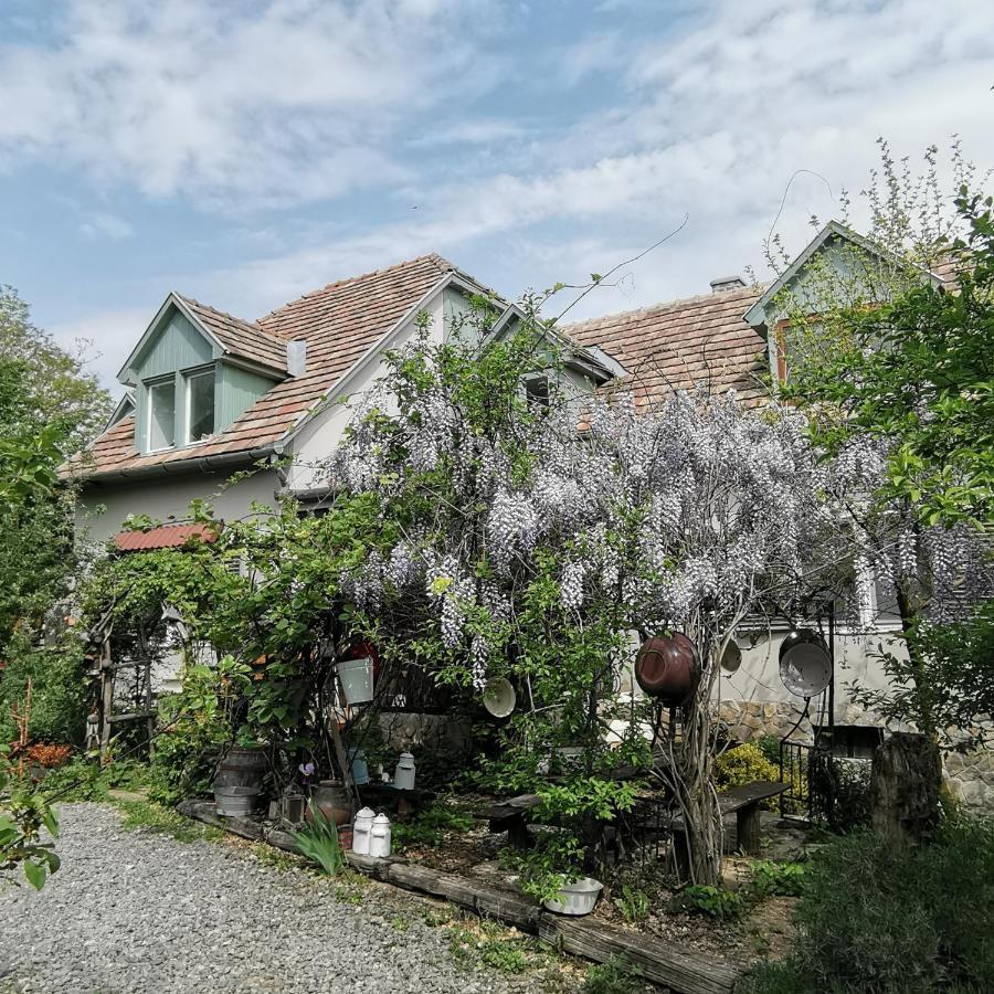 Forest View Studio Apartment Kaposhomok Luaran gambar